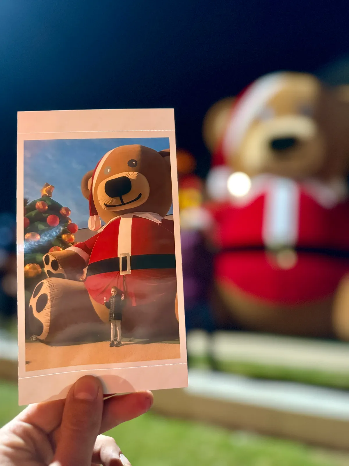 La foto ricordo appena stampata, tenuta in mano davanti all'orso Teddy gigante del villaggio